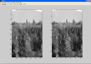 Downsampled Image - Before and After